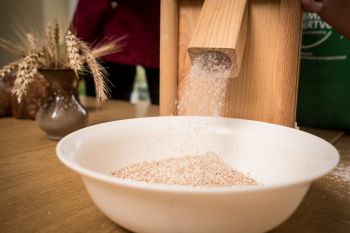 Gemahlenes Korn fällt in eine weiße Schüssel